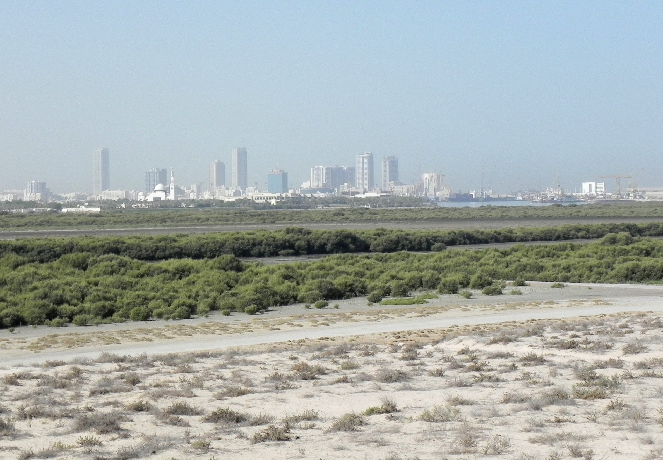Umm al-Quwain 1 أم القيوين: كنوز الطبيعة الساحرة والتاريخ العريق